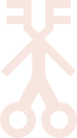 Pictogram of a figure on wheels, meaning fast service